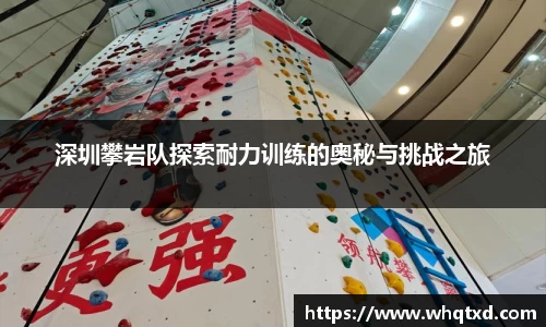 深圳攀岩队探索耐力训练的奥秘与挑战之旅